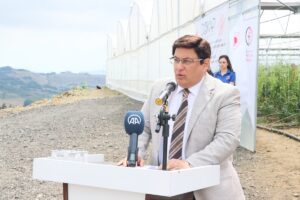 SAMSUN (AA) – Samsun'da cezaevinde hükümlülerin çalıştığı serada sebze üretiliyor.