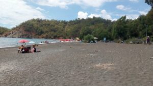 - "Daha önceki yıllarda da bu bölgelerde yuvaların tespit edilmesi