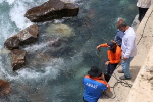 SİİRT (AA) – Siirt'in Pervari ilçesinde Müküs Çayı'na düşüp akıntıya