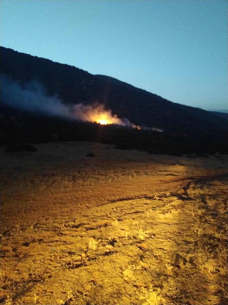 Gaziantep'te orman yangınında meşelik alan zarar gördü