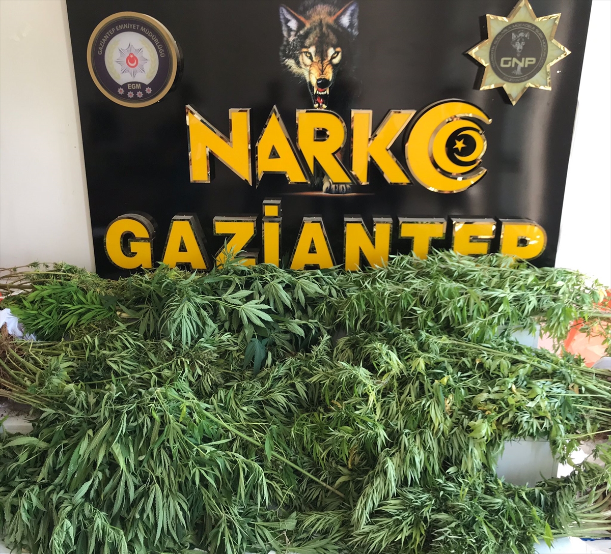 Gaziantep'te uyuşturucu operasyonunda 15 şüpheli yakalandı