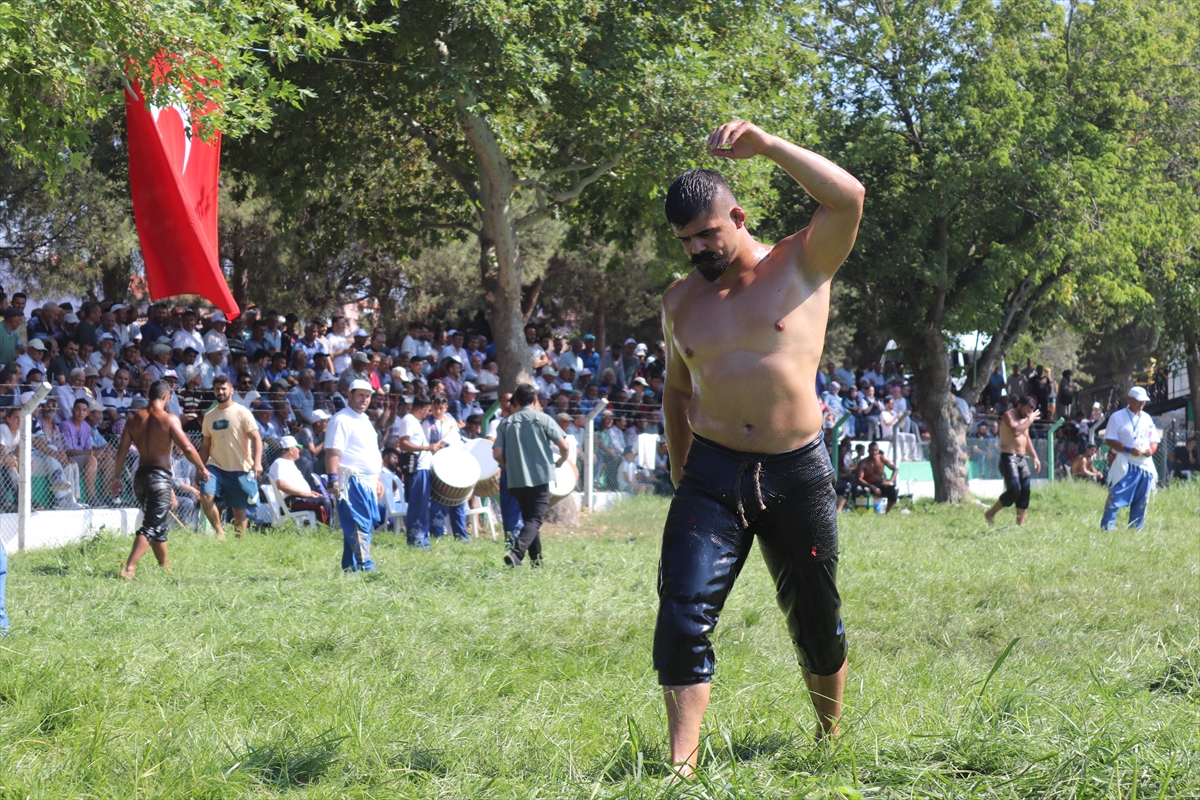 Geleneksel 13. Kepsut Yağlı Güreşleri