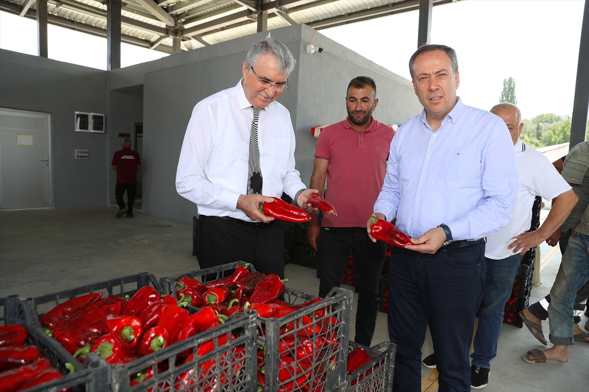 Geyve Safibey Ürün Toplama Merkezi üreticiyle tüketiciyi buluşturuyor