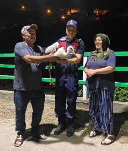 GİRESUN (AA) – Giresun'un Yağlıdere ilçesinde yorgun düşen leylek koruma