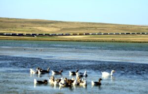 ARDAHAN (AA) – Ukrayna-Rusya Savaşı nedeniyle güzergah değiştiren tırlar, Türkiye