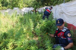 İSTANBUL (AA) – İstanbul'da jandarma ekiplerince uydu ve dron görüntüleriyle