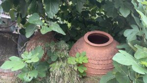 İSTANBUL (AA) – İstanbul Beykoz'da yapılan kaçakçılık operasyonunda tarihi eser