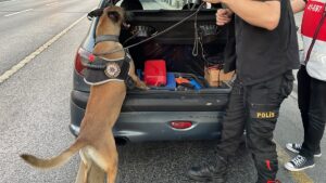 İSTANBUL (AA) – İstanbul'da "Huzur Uygulaması" kapsamında sürücüler ve yolculara