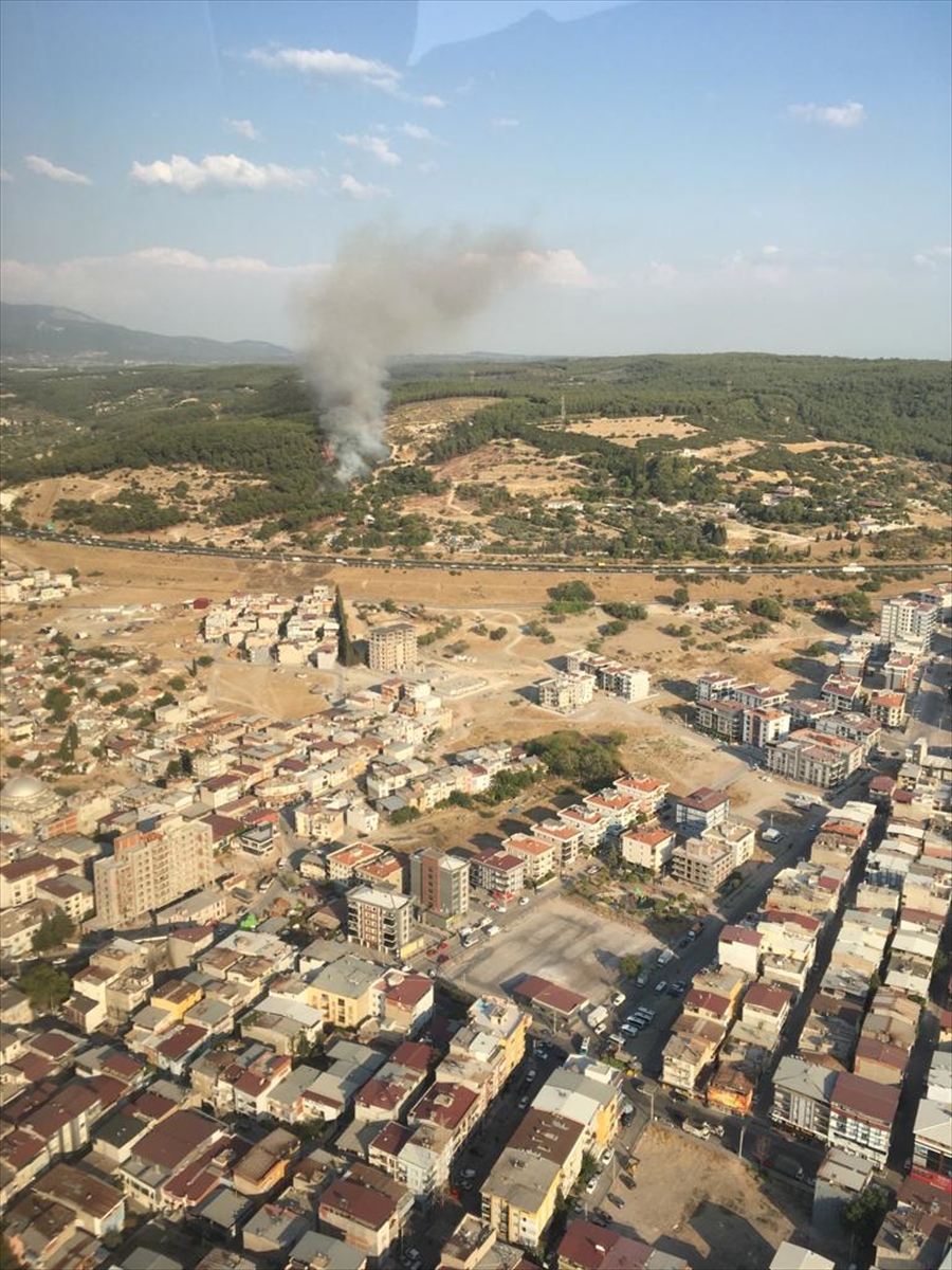 İzmir'de ormanlık alanda çıkan yangına müdahale ediliyor