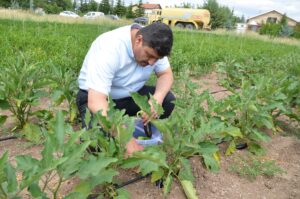 ANKARA (AA) – Ankara'nın Kahramankazan ilçesinde bir grup belediye çalışanının