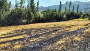 KAHRAMANMARAŞ (AA) – Kahramanmaraş'ın Göksun ilçesinde bahçesindeki otları yakmak isterken