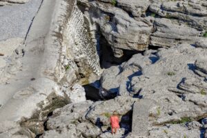 PODGORİTSA (AA) – Karadağ'ın başkenti Podgoritsa yakınlarındaki "Niagara Şelalesi" kurudu.