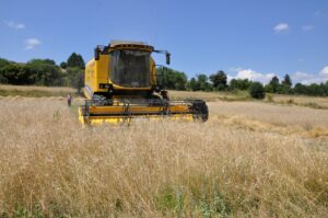 KASTAMONU (AA) – Kastamonu'nun İhsangazi ilçesinde geçmişi 10 bin yıl
