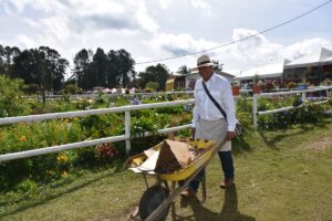- Üreticiler, 104 yıllık çiçek kasası süsleme geleneğini sürdürüyor