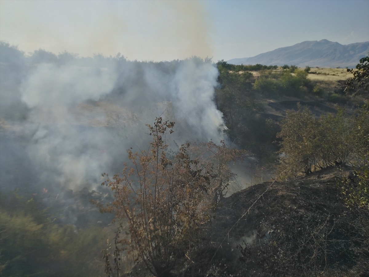 Malatya'da çıkan yangında 90 dönüm arazi zarar gördü