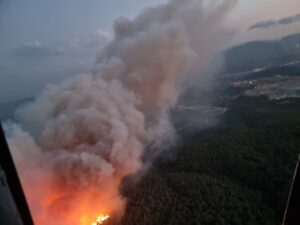 MANİSA (AA) – Manisa'nın Soma ilçesindeki ormanlık alanda yangın çıktı.