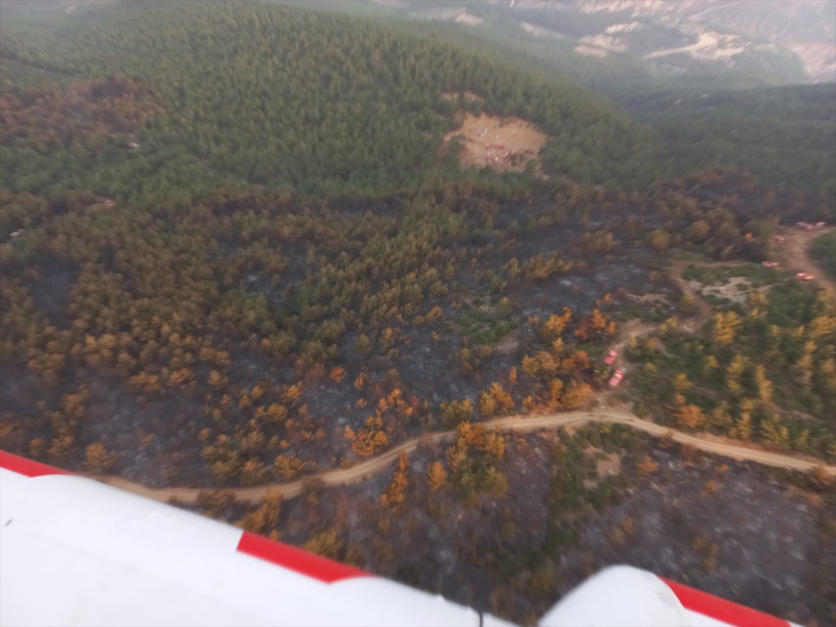 Manisa'daki orman yangınına müdahale sürdü