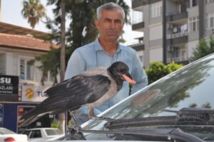 MERSİN (AA) – Mersin'in Silifke ilçesinde esnaf, her gün yanlarına