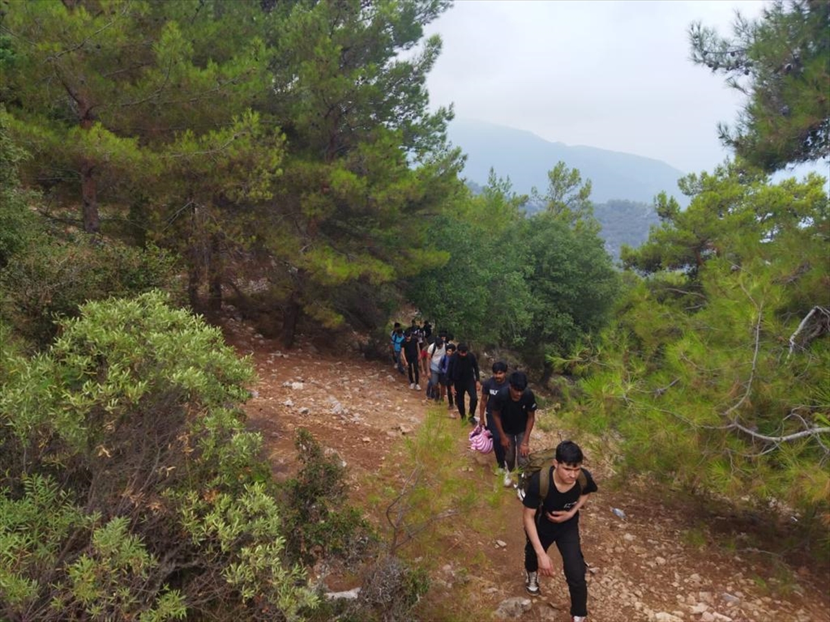 Muğla'da ormanlık alanda 72 düzensiz göçmen yakalandı