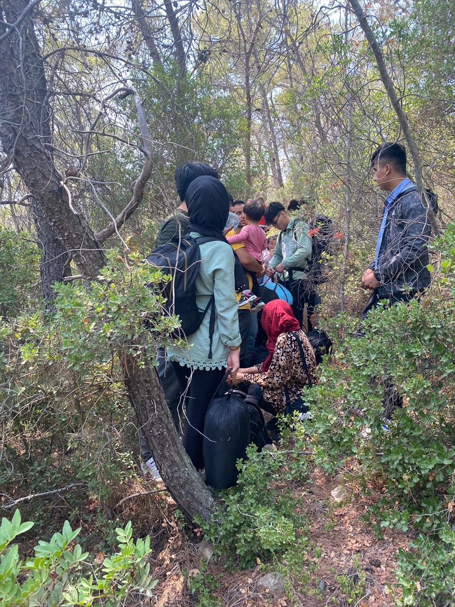 Muğla'da ormanlık alanda 80 düzensiz göçmen yakalandı