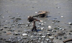 İSLAMABAD (AA) – Pakistan'da 14 Haziran'dan bu yana etkili olan