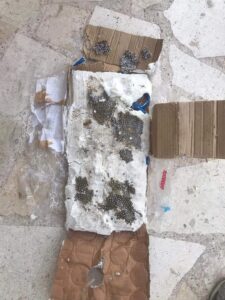 - Operasyonda 10 kilogram patlamaya hazır bomba ele geçirildi