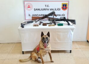 ŞANLIURFA (AA) – Şanlıurfa'nın merkez Karaköprü ilçesinde silah kaçakçılarına yönelik