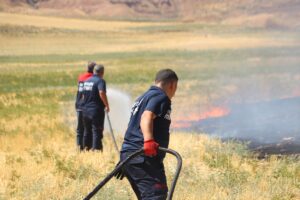SİİRT (AA) – Siirt'te çıkan anız yangını itfaiye ekiplerinin müdahalesiyle