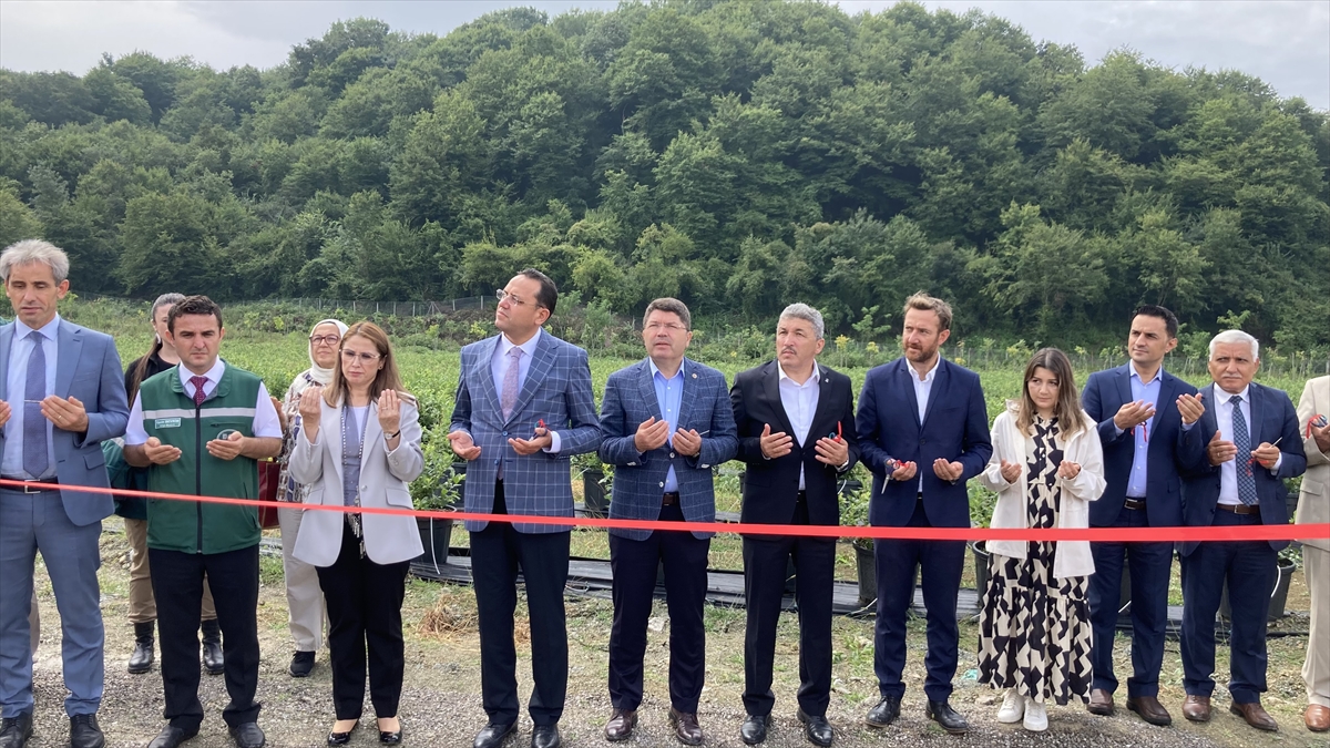 BARTIN (AA) – Tarım ve Orman Bakan Yardımcısı Ebubekir Gizligider,