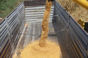 - "Avrupa ülkeleri kuraklıktan, kıtlıktan söz ederken biz hamdolsun kendi