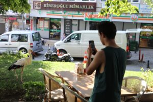 TEKİRDAĞ (AA) – Geçen yıl geldiği Tekirdağ'da kentin maskotu olan