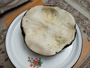 TOKAT (AA) – Tokat'ın Başçiftlik ilçesinde bir kişi 3 kilogram