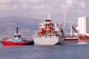 KOCAELİ (AA) – Ukrayna'nın Çornomorsk Limanı'ndan yola çıkan mısır yüklü