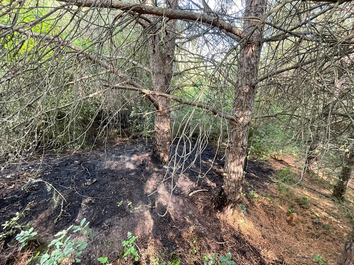 Uludağ'da çıkan orman yangını kontrol altına alındı