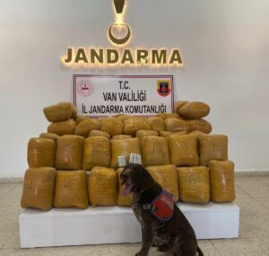 VAN (AA) – Van'ın Başkale ilçesinde kayalıklara gizlenmiş 200 kilogram