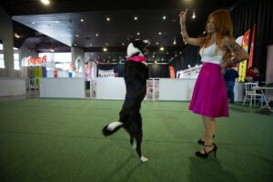 ANKARA (AA) – 3. Ankara Evcil Hayvan Ürünleri Fuarı, Altınpark