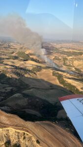 ADANA (AA) – Adana'nın merkez Çukurova ilçesinde çıkan orman yangını,