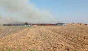 ADANA (AA) – Adana'nın İmamoğlu ilçesinde saman balyalarının istiflendiği alanda