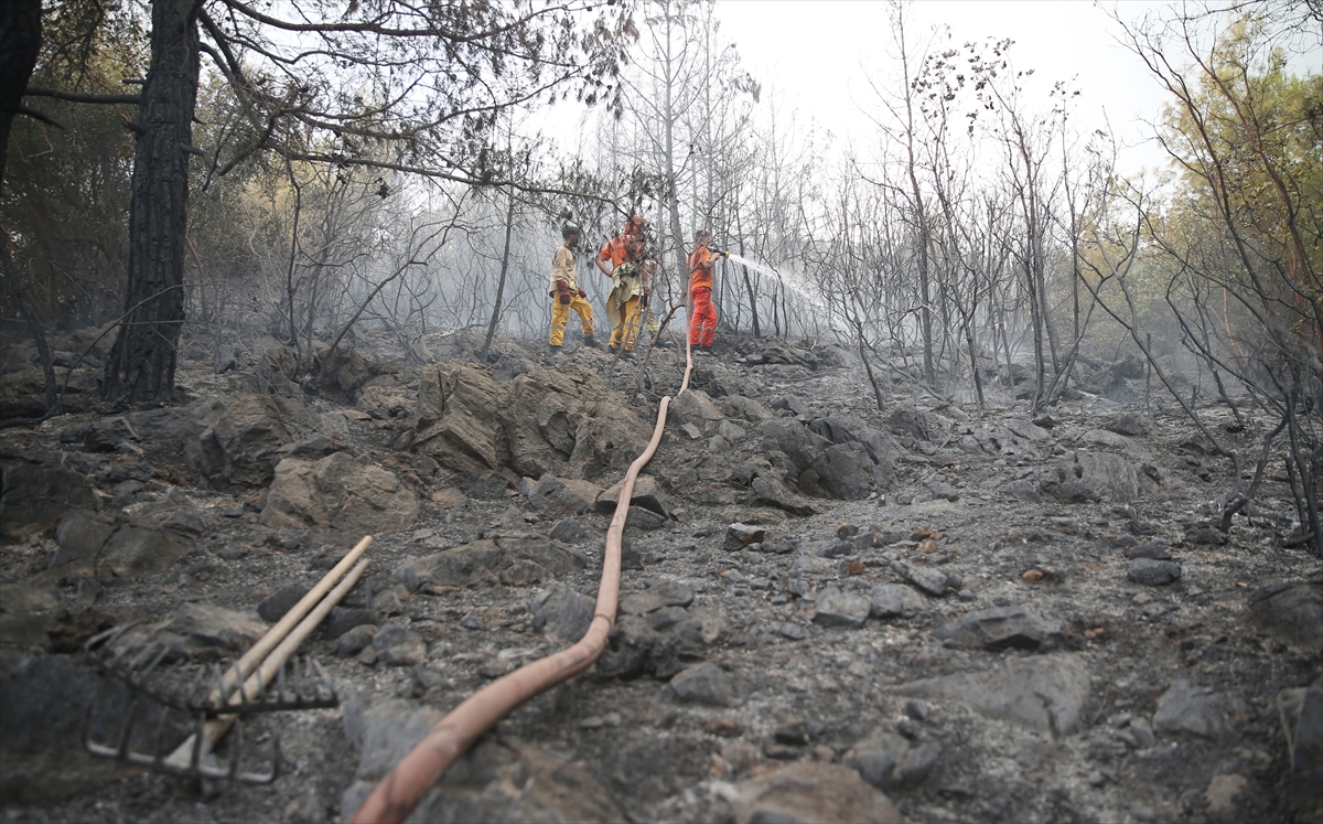 GÜNCELLEME – Alanya'da çıkan orman yangını kontrol altına alındı