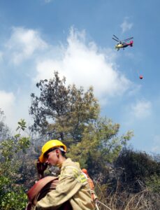 ANTALYA (AA) – Antalya'nın Alanya ilçesinde yerleşim yerlerine yakın ormanlık