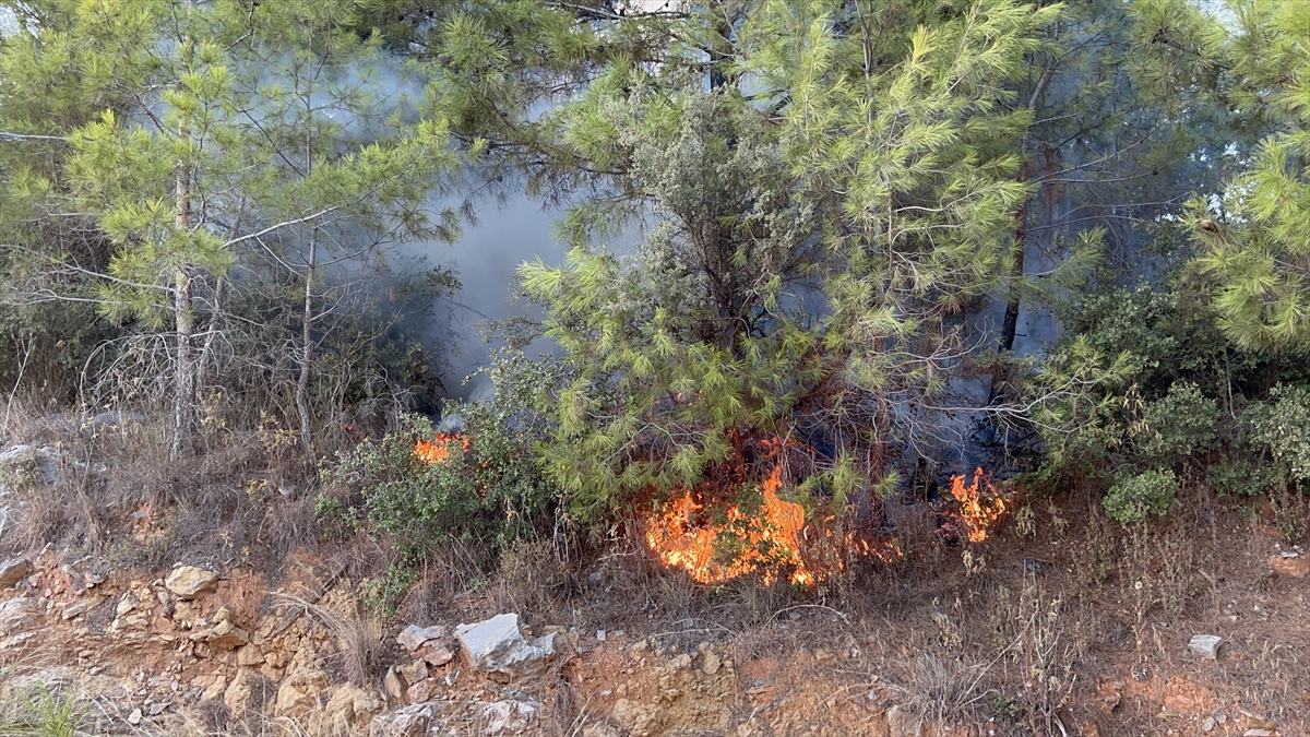 Alanya'da çıkan orman yangını söndürüldü