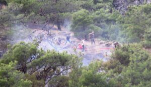 AMASYA (AA) – Amasya'nın Taşova ilçesinde ormanlık alanda çıkan yangın