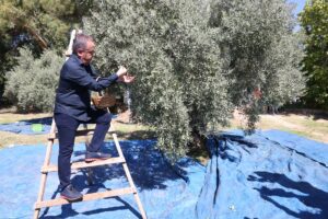 ANTALYA (AA) – Antalya'da düzenlenen 1. Uluslararası Food Fest Gastronomi