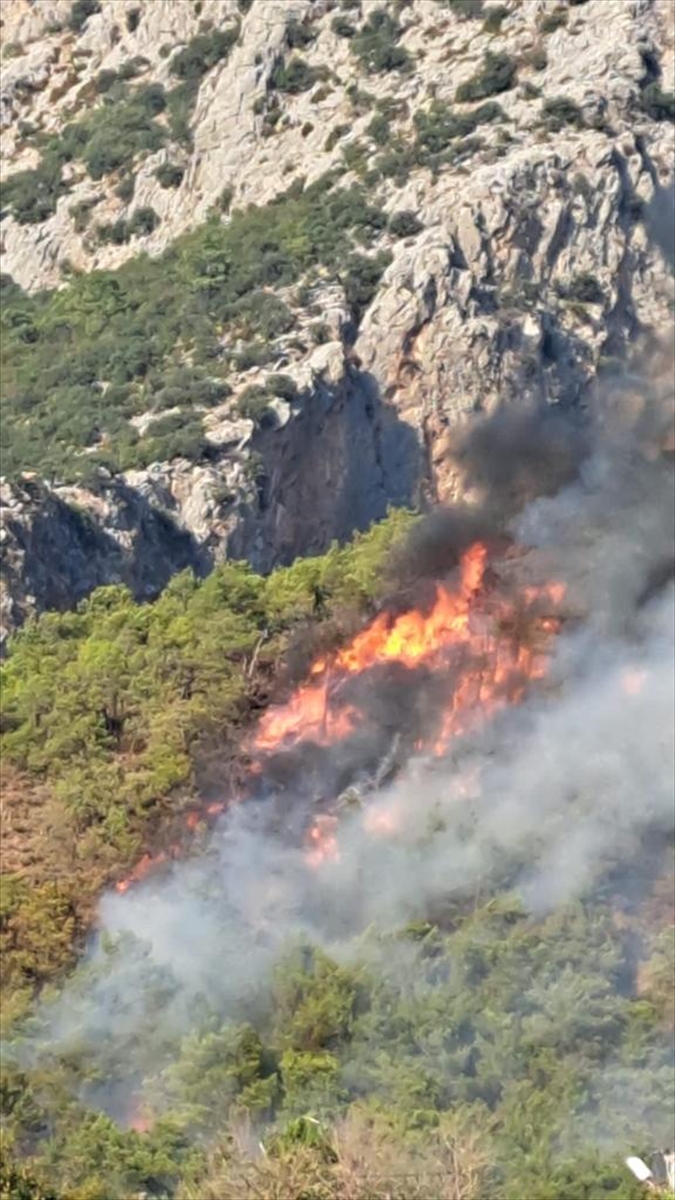 Antalya'da Adrasan Sahili'ne yakın bölgede çıkan orman yangınına müdahale ediliyor