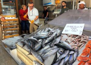 SİNOP (AA) – Karadeniz'de balıkçıların yeni sezonda umut bağladıkları palamut,