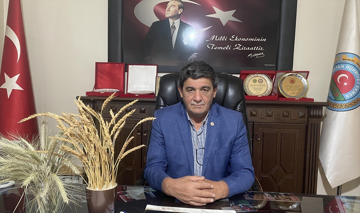 BAYBURT (AA) – Bayburt'ta çiftçiler, hasadı sona eren hububatta bu