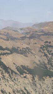 BİNGÖL (AA) – Bingöl'de otluk alanda çıkan yangın, ormanlık alana