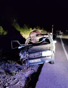 DENİZLİ (AA) – Denizli'nin Çameli ilçesinde otomobilin yola çıkan eşeğe