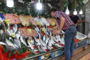 EDİRNE (AA) – Denizlerde av yasağının sona ermesinin ardından Edirne'deki