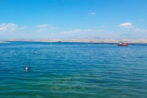 ELAZIĞ (AA) – Elazığ'da Keban Baraj Gölü'nde 5 gün önce